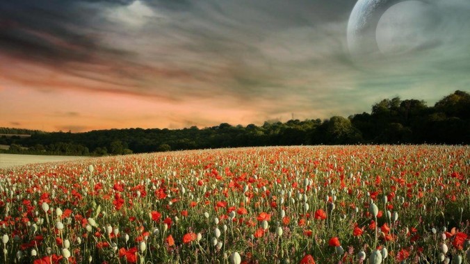 你会从mac转向Windows吗？